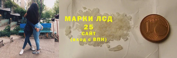 СК Михайлов