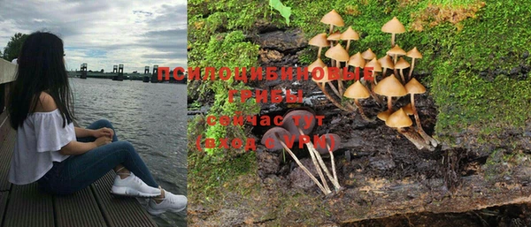 ГАЛЛЮЦИНОГЕННЫЕ ГРИБЫ Михайловск